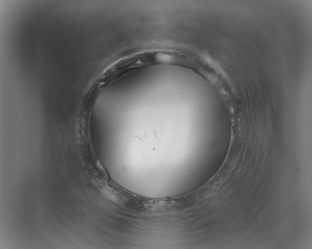 X0000069801352200606021428