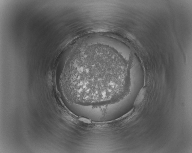 X0000069801353200606021428