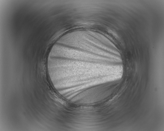 X0000069801354200606021428