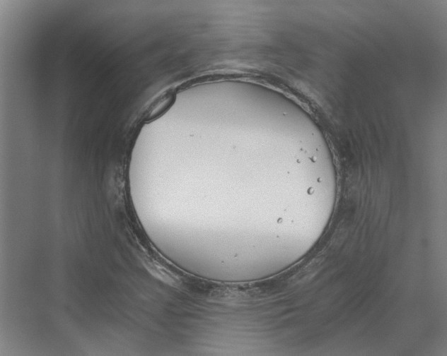 X0000069801355200606021428