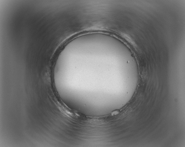 X0000069801356200606021428