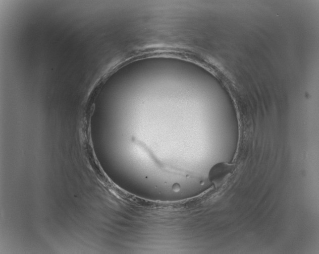 X0000069801357200606021428