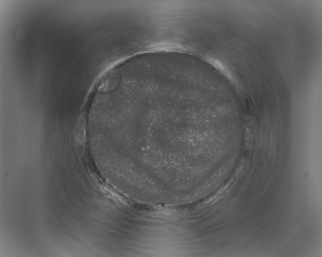 X0000069801358200606021428