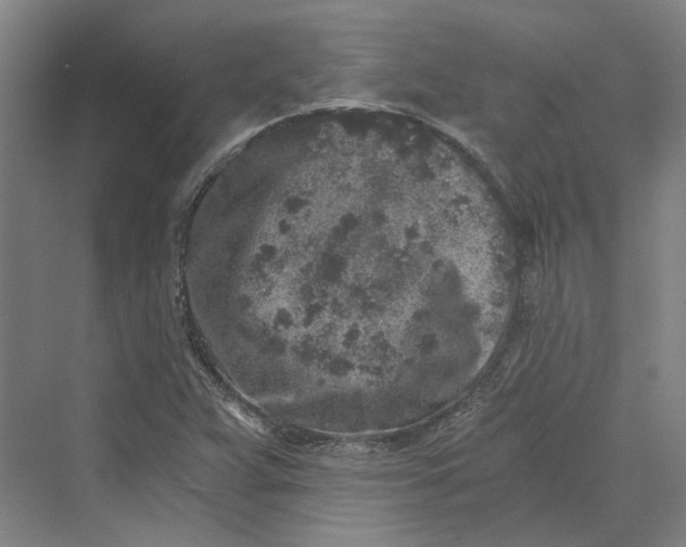 X0000069801359200606021428