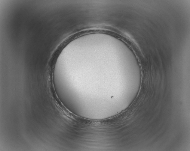 X0000069801360200606021428