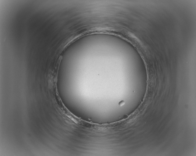 X0000069801361200606021428