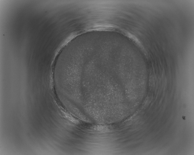 X0000069801362200606021428