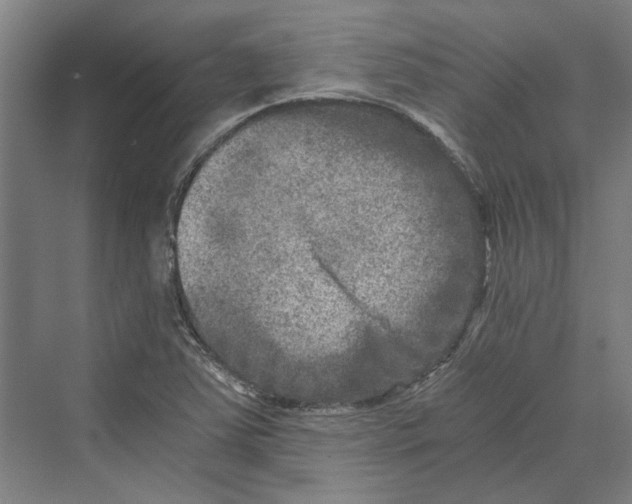 X0000069801363200606021428