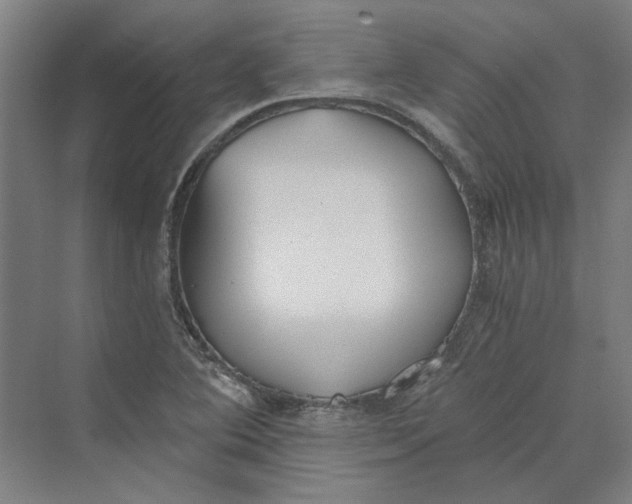 X0000069801364200606021428