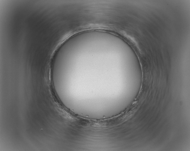 X0000069801365200606021428