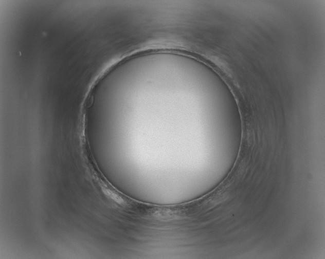 X0000069801366200606021428