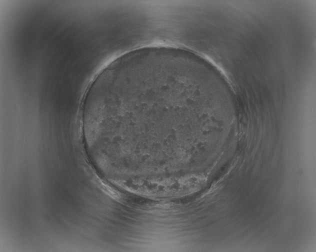 X0000069801367200606021428