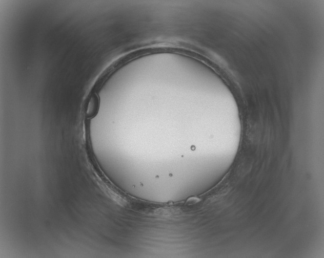 X0000069801368200606021428