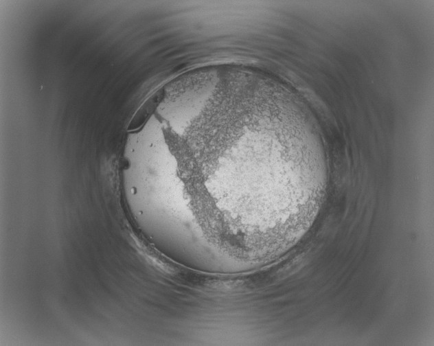 X0000069801369200606021428