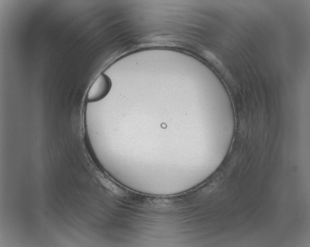 X0000069801370200606021428