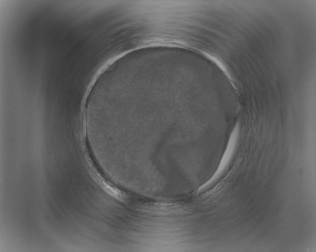 X0000069801371200606021428