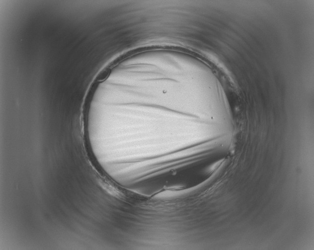 X0000069801372200606021428