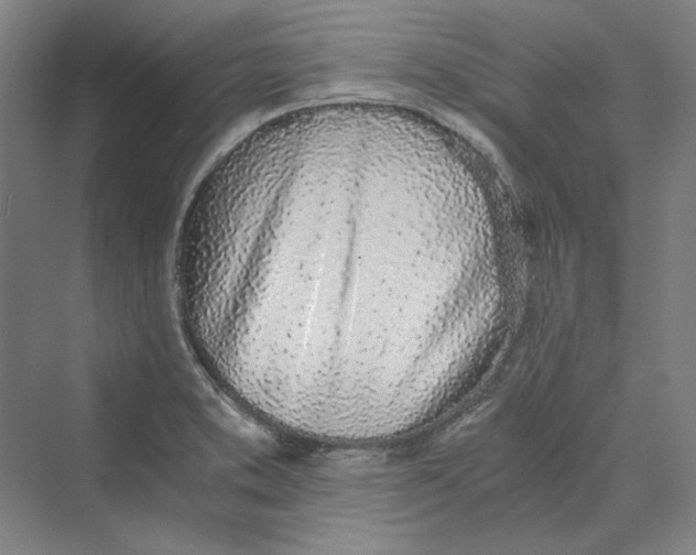 X0000069801373200606021428