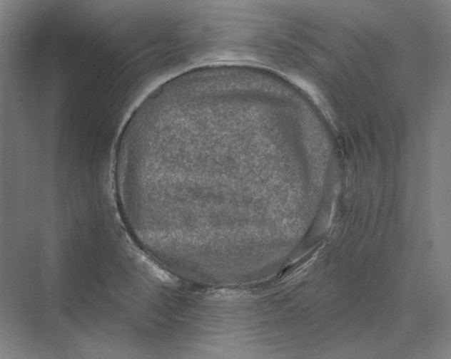 X0000069801374200606021428