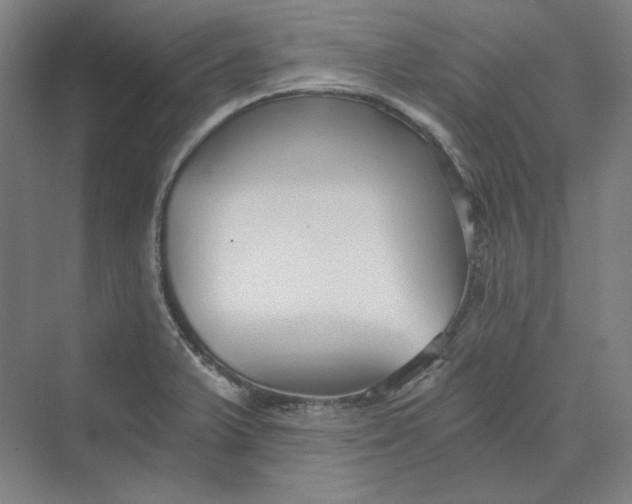 X0000069801375200606021428