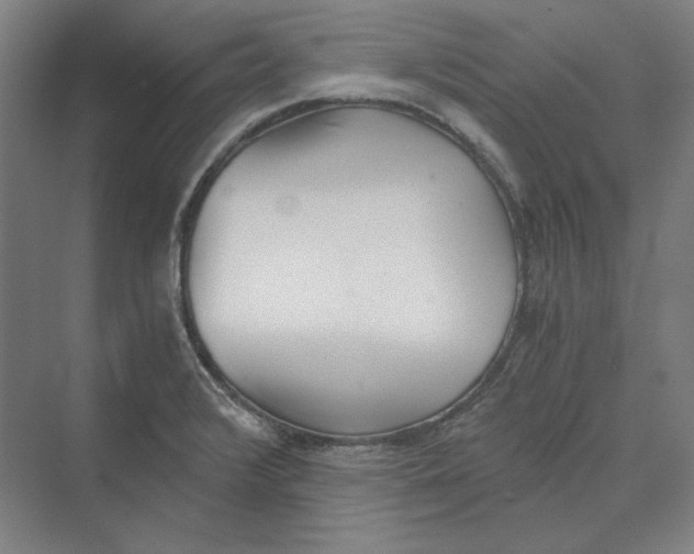 X0000069801376200606021428