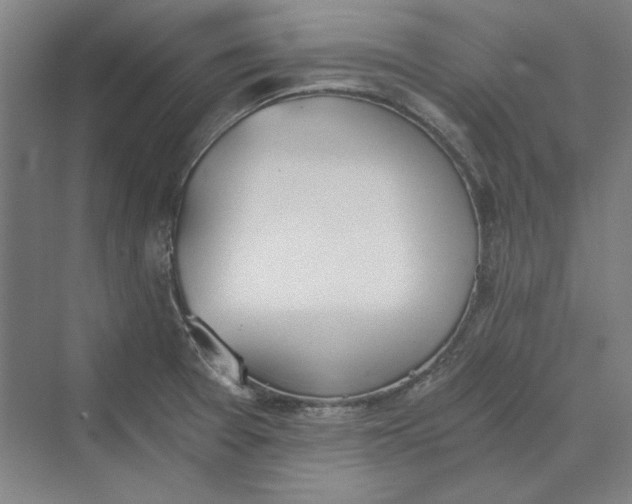 X0000069801377200606021428