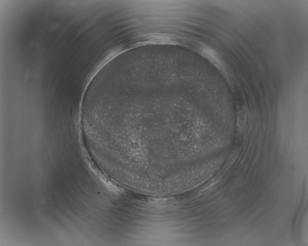 X0000069801378200606021428