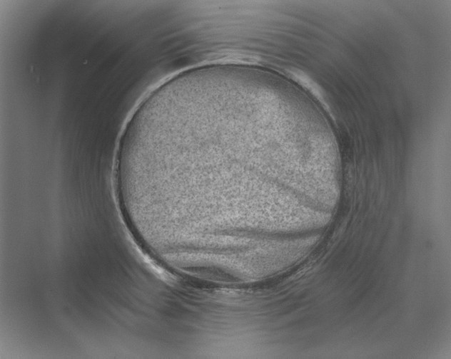 X0000069801379200606021428