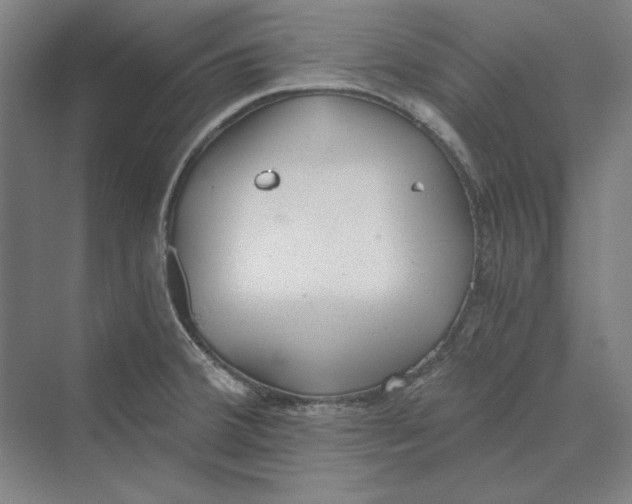 X0000069801380200606021428