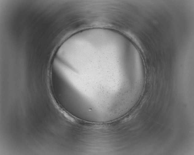 X0000069801381200606021428