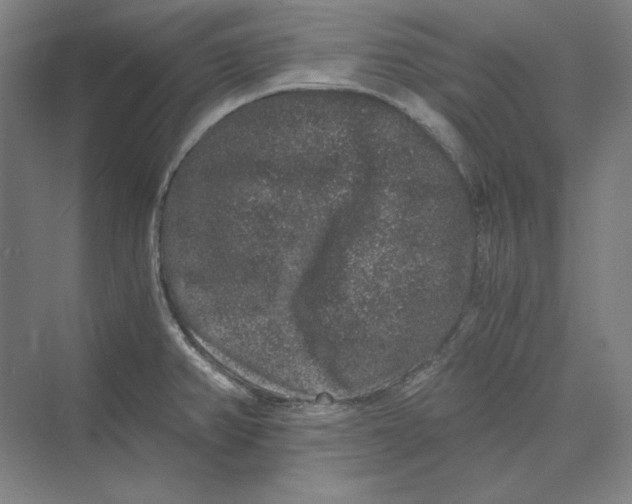 X0000069801382200606021428