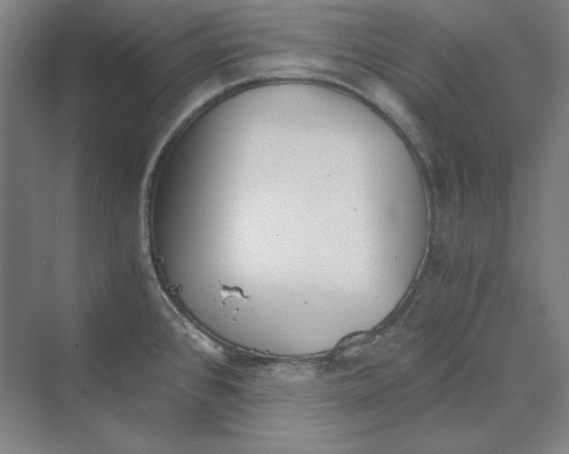 X0000069801384200606021428