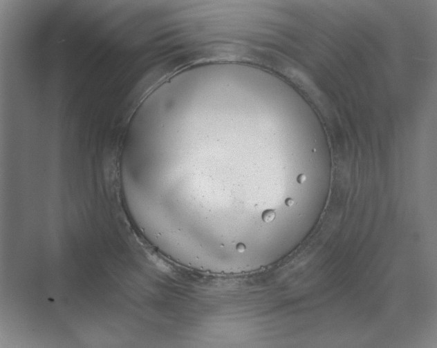 X0000069801385200606021428