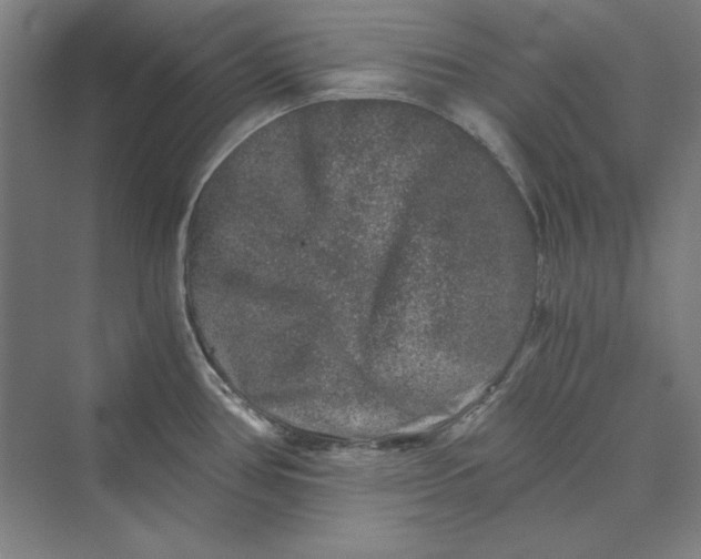 X0000069801386200606021428