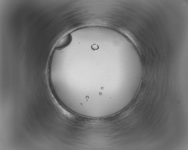 X0000069801387200606021428