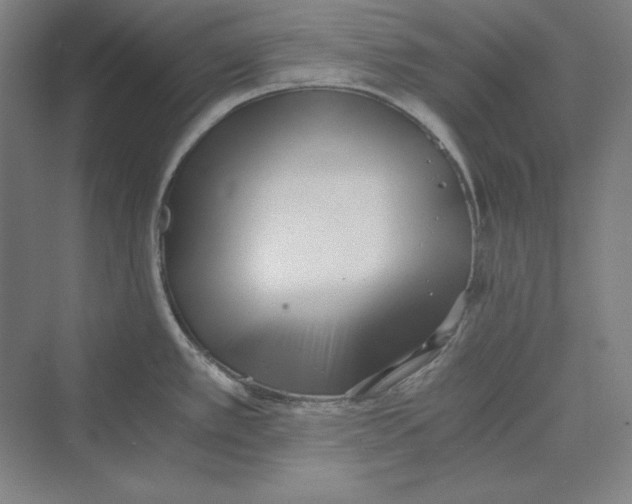 X0000069801389200606021428