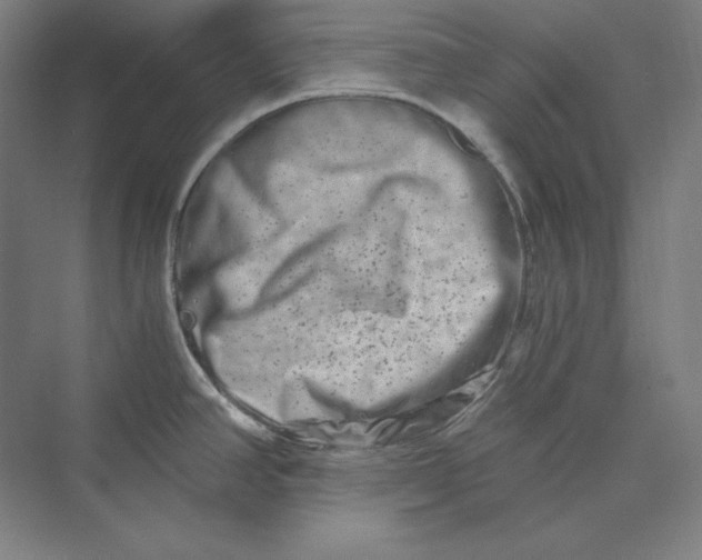 X0000069801390200606021428