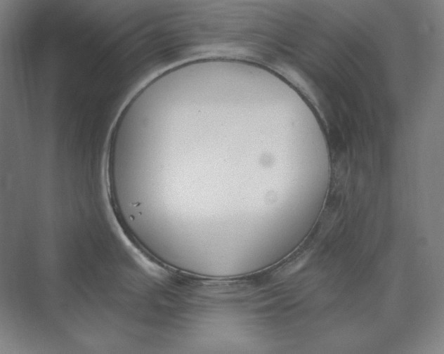 X0000069801391200606021428