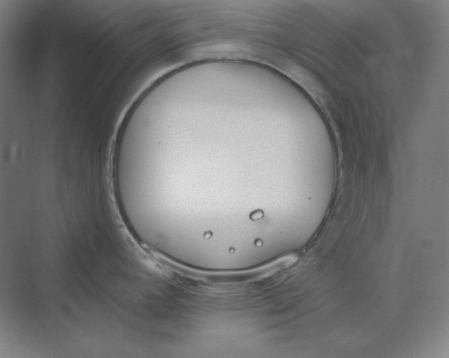 X0000069801392200606021428