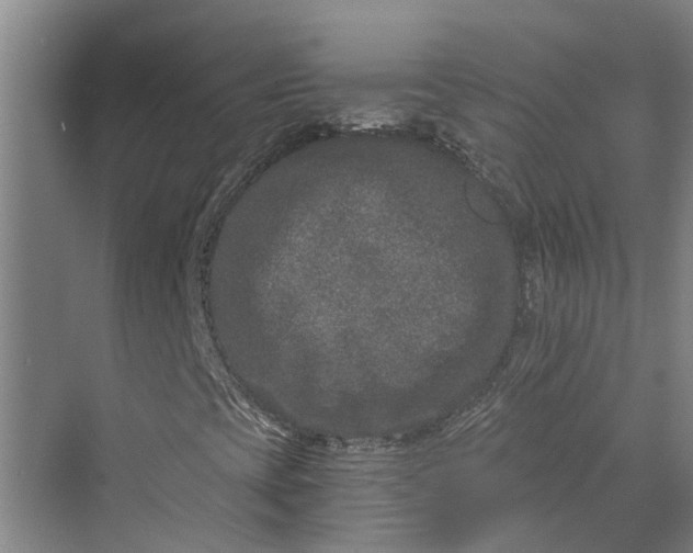 X0000069801393200606021427