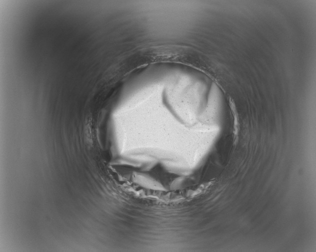 X0000069801394200606021427