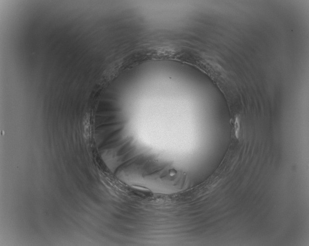 X0000069801395200606021427