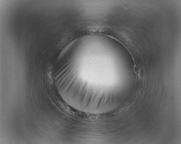 X0000069801396200606021427