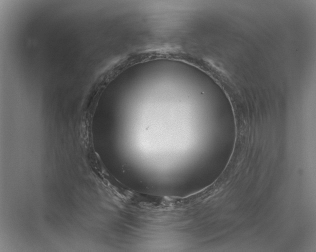 X0000069801398200606021427