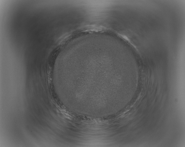 X0000069801399200606021427