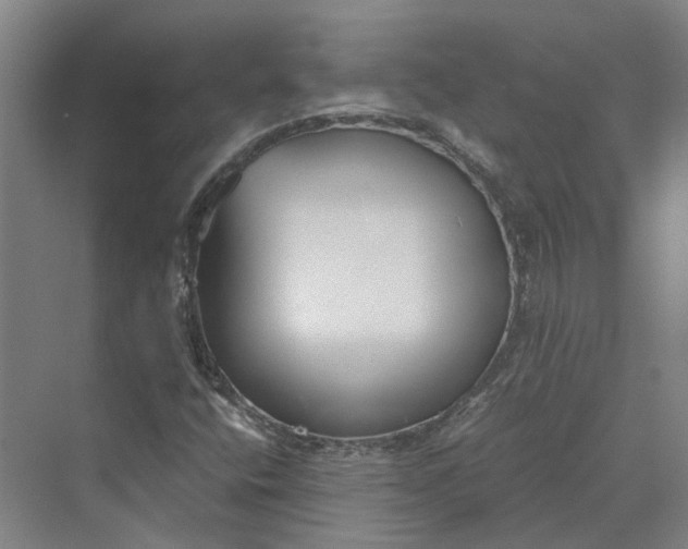 X0000069801400200606021427