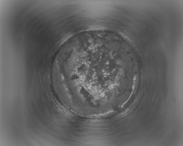 X0000069801401200606021427