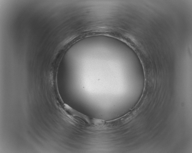 X0000069801402200606021427