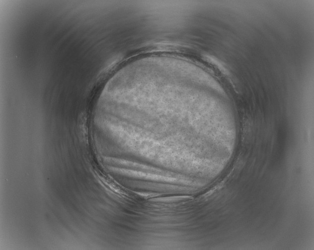 X0000069801403200606021427