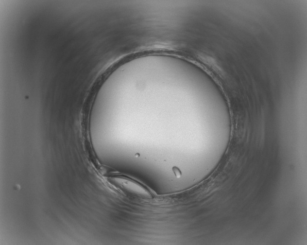 X0000069801404200606021427